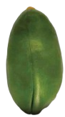 green kernel pistachio