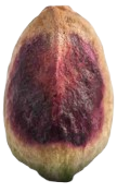 kernel pistachio