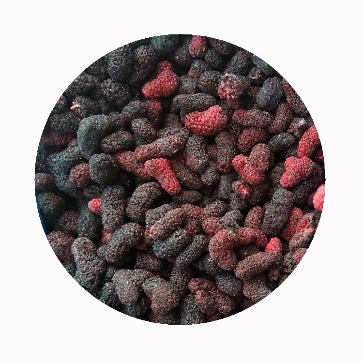 IQF Frozen Mulberry