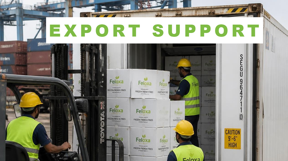 EXPORT SUPPORT