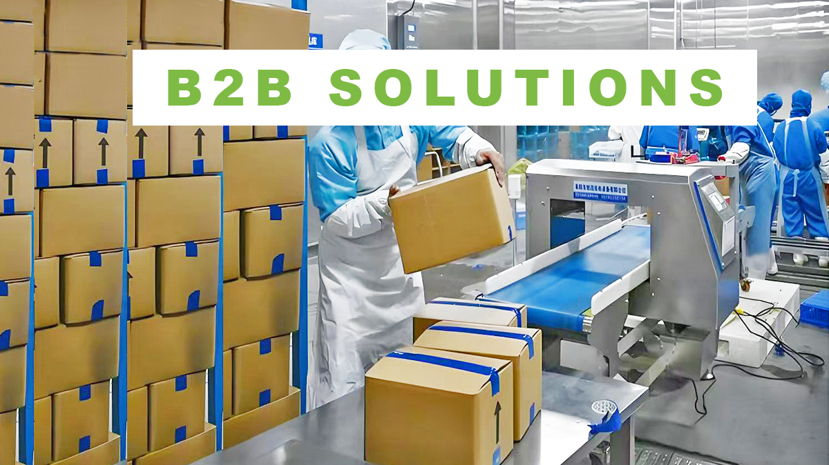 b2b solutions